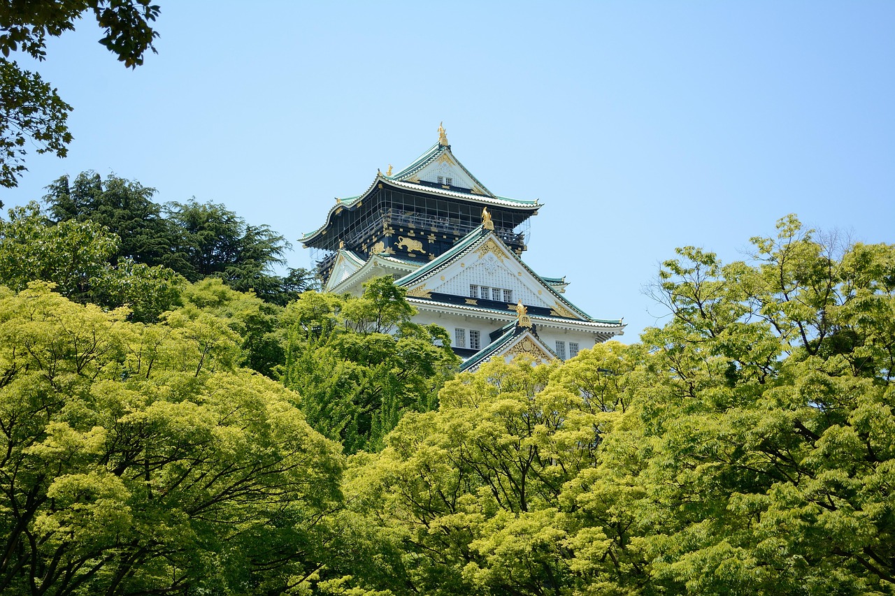 Image for history: japanese castle