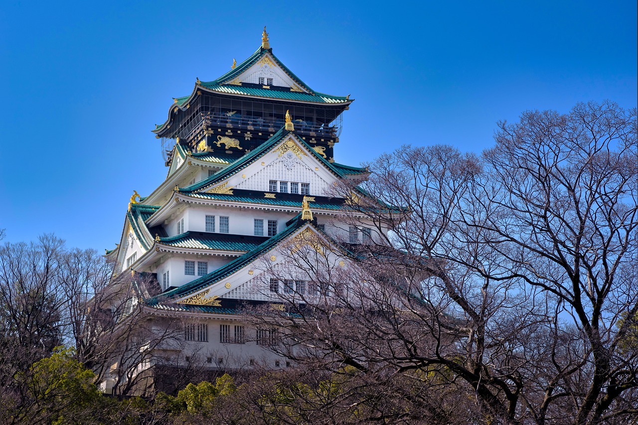 Image for history: japanese castle