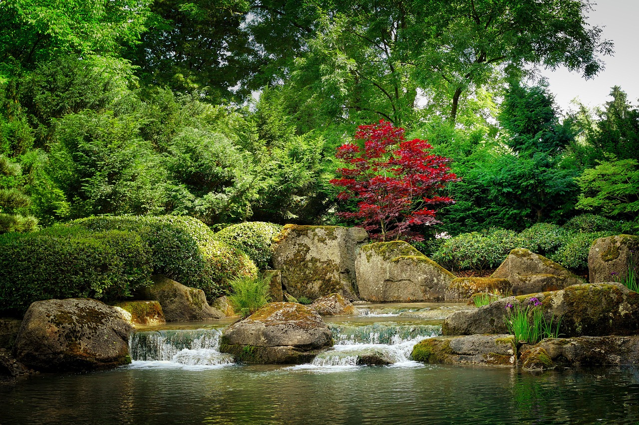 Image for natur: japanese forest