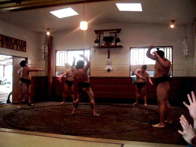 Sumo Stable Training
