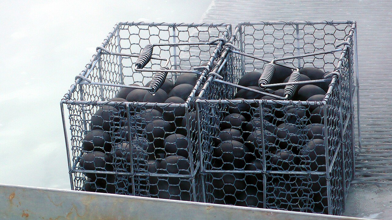 Hakone Black Eggs