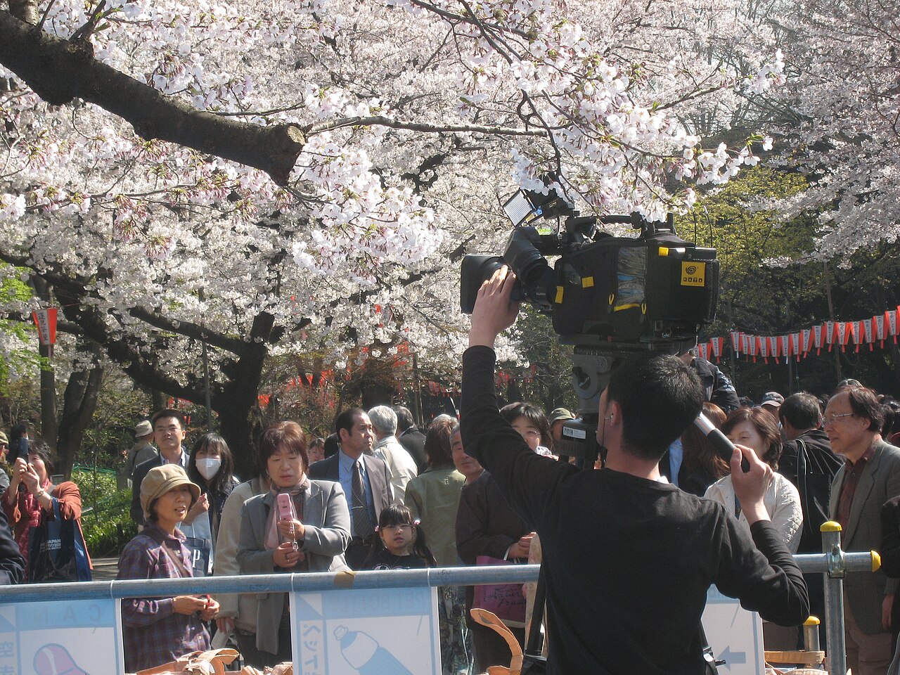 Hanami