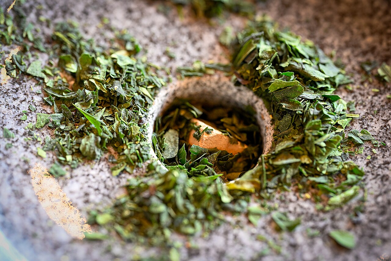 Matcha Production in Japan