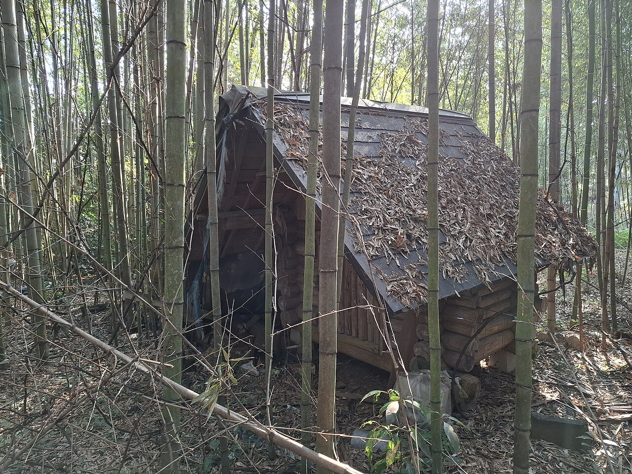 Akiya (Abandoned Houses in Japan)