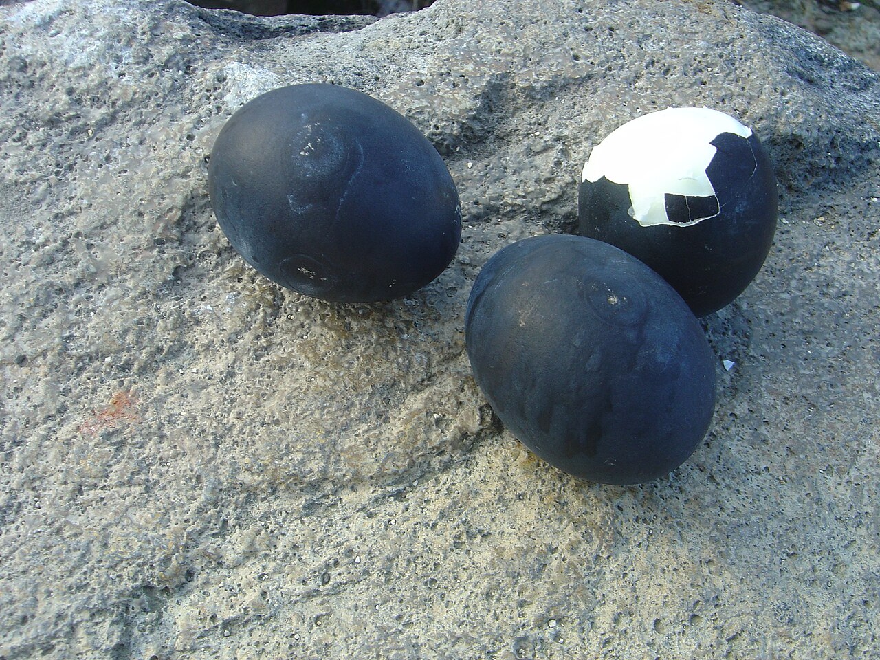 Hakone Black Eggs