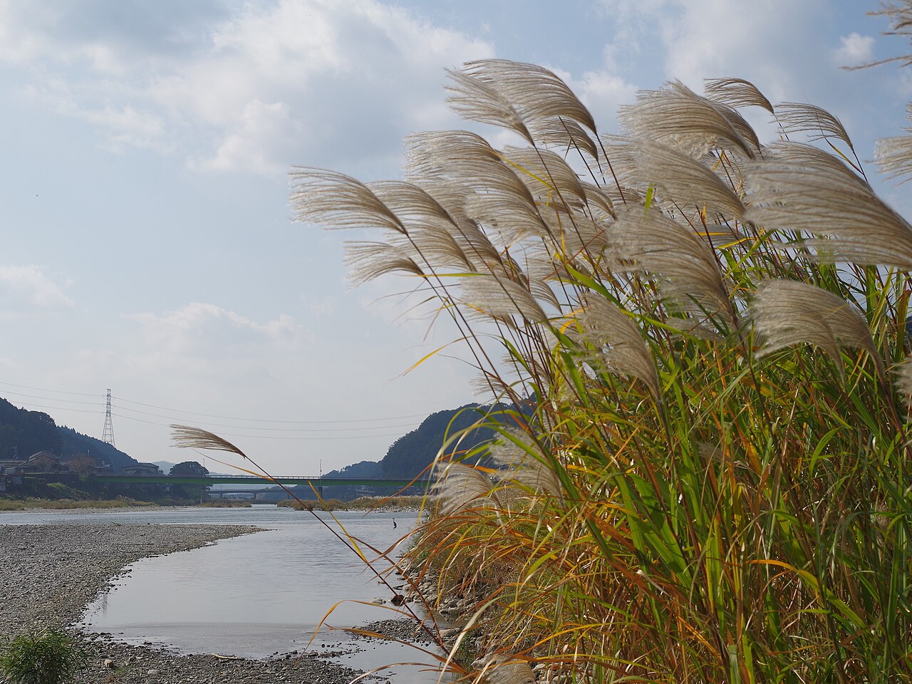 Yoshino (Nara)